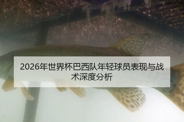 nian-shi-jie-bei-ba-xi-dui-nian-qing-qiu-yuan-biao-xian-yu-zhan-shu-shen-du-fen-xi-2-680.jpg