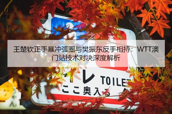 王楚钦正手暴冲弧圈与樊振东反手相持：WTT澳门站技术对决深度解析